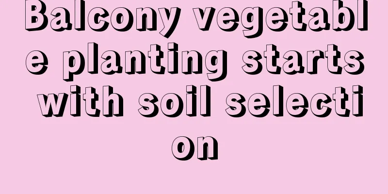 Balcony vegetable planting starts with soil selection