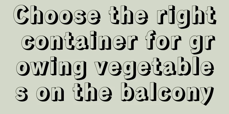 Choose the right container for growing vegetables on the balcony