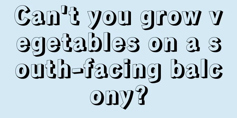 Can't you grow vegetables on a south-facing balcony?