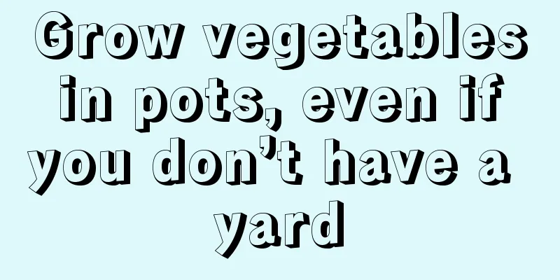 Grow vegetables in pots, even if you don’t have a yard