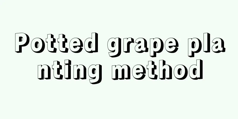 Potted grape planting method