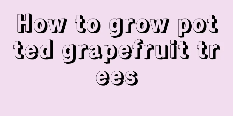 How to grow potted grapefruit trees