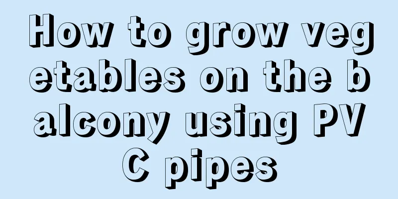 How to grow vegetables on the balcony using PVC pipes