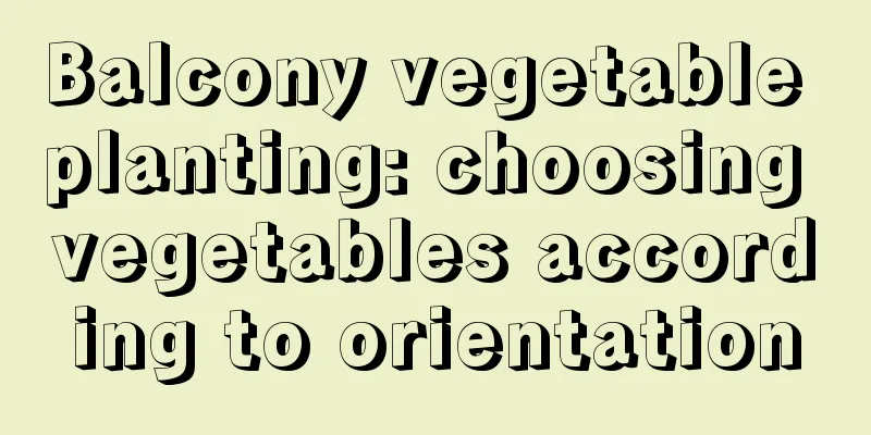 Balcony vegetable planting: choosing vegetables according to orientation