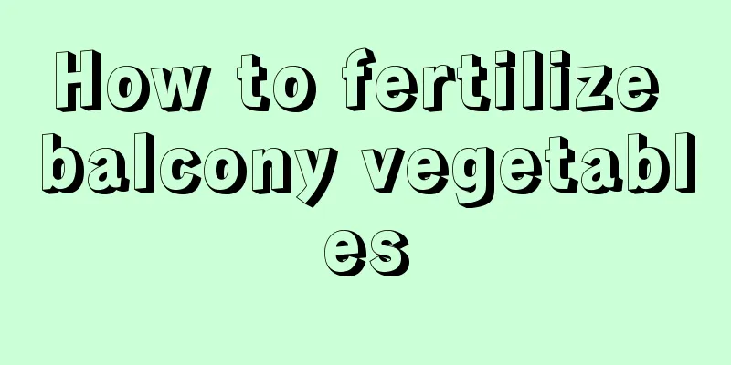 How to fertilize balcony vegetables