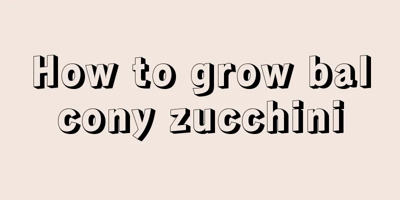 How to grow balcony zucchini