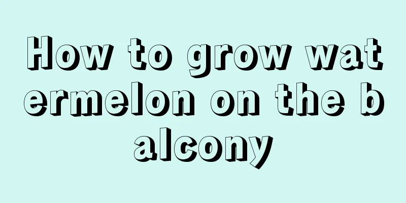 How to grow watermelon on the balcony