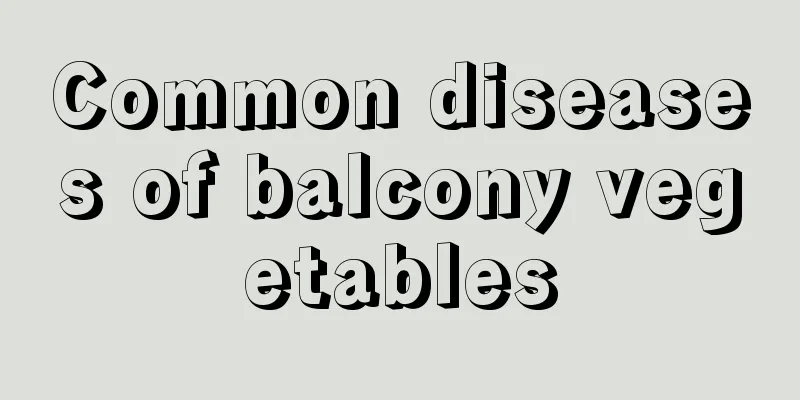 Common diseases of balcony vegetables