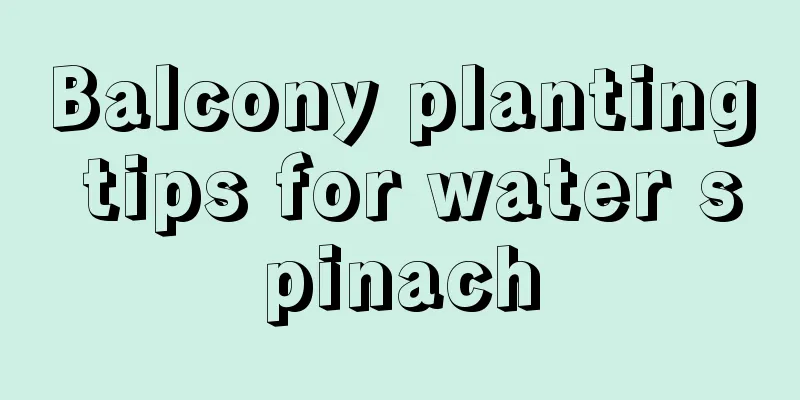 Balcony planting tips for water spinach