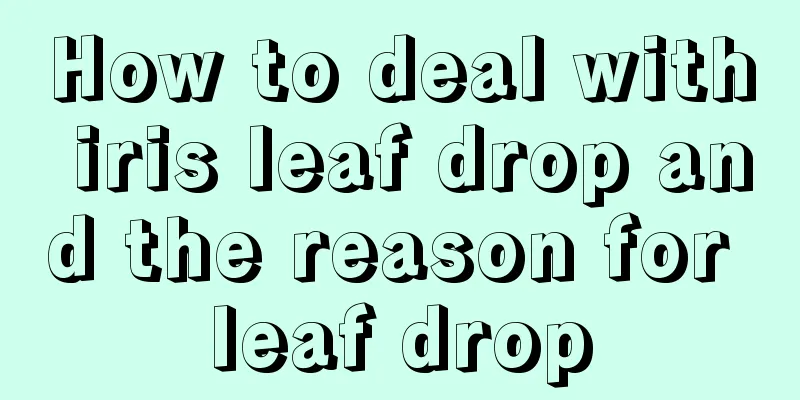 How to deal with iris leaf drop and the reason for leaf drop