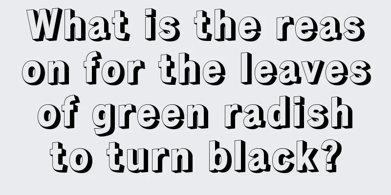 What is the reason for the leaves of green radish to turn black?