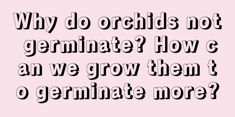 Why do orchids not germinate? How can we grow them to germinate more?