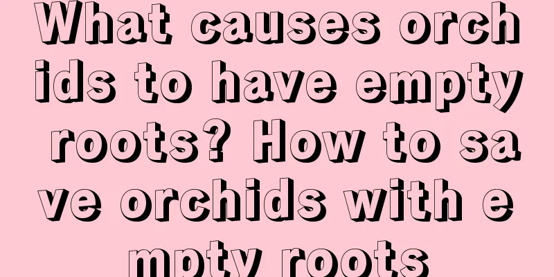 What causes orchids to have empty roots? How to save orchids with empty roots