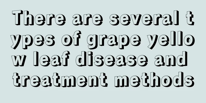 There are several types of grape yellow leaf disease and treatment methods