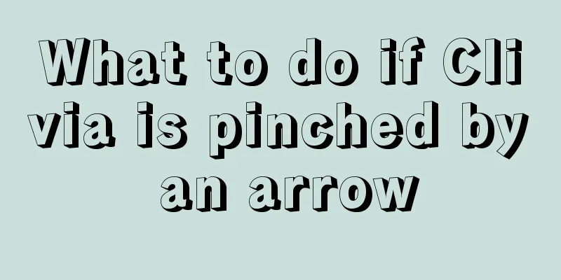 What to do if Clivia is pinched by an arrow