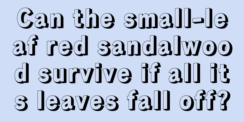 Can the small-leaf red sandalwood survive if all its leaves fall off?