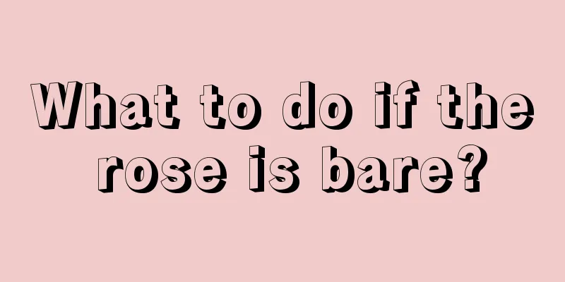 What to do if the rose is bare?