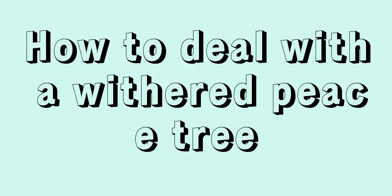 How to deal with a withered peace tree