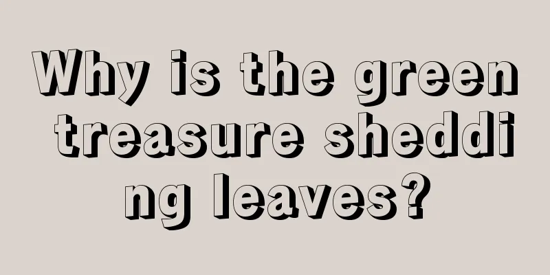 Why is the green treasure shedding leaves?