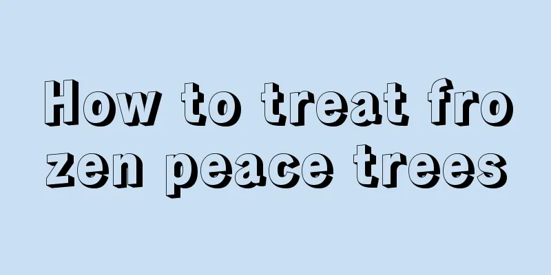 How to treat frozen peace trees