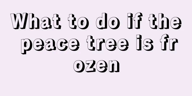 What to do if the peace tree is frozen