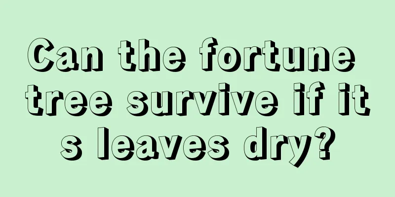 Can the fortune tree survive if its leaves dry?