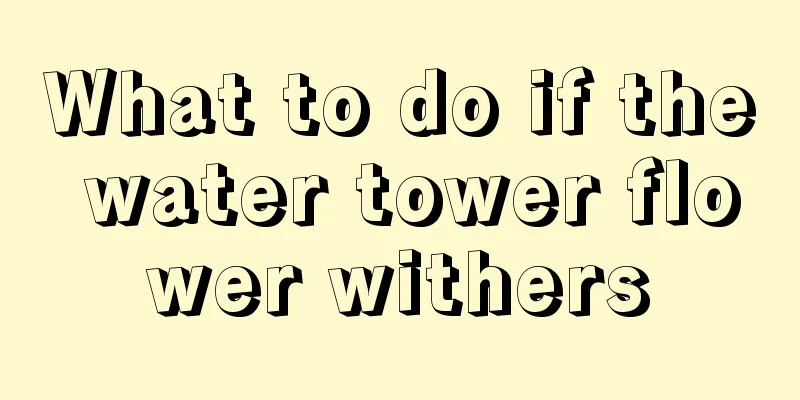 What to do if the water tower flower withers