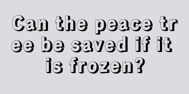 Can the peace tree be saved if it is frozen?