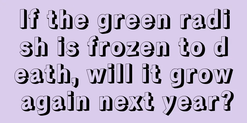 If the green radish is frozen to death, will it grow again next year?