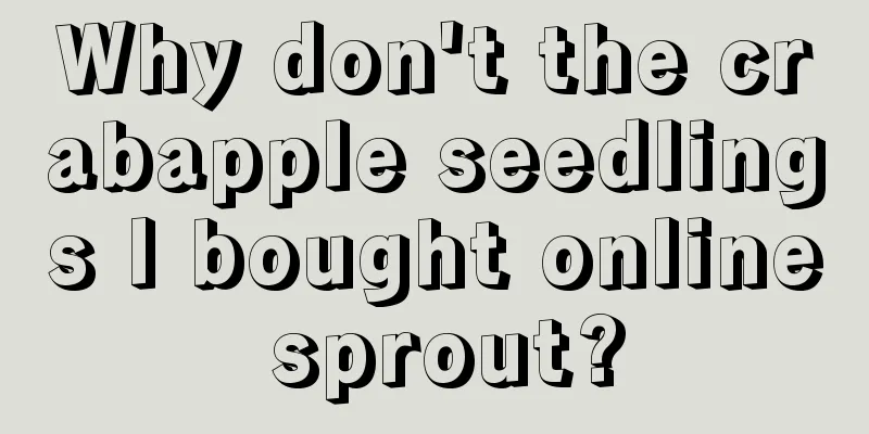 Why don't the crabapple seedlings I bought online sprout?