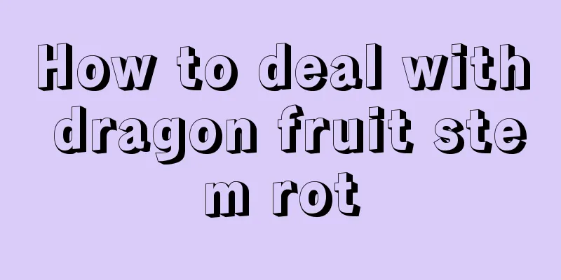 How to deal with dragon fruit stem rot