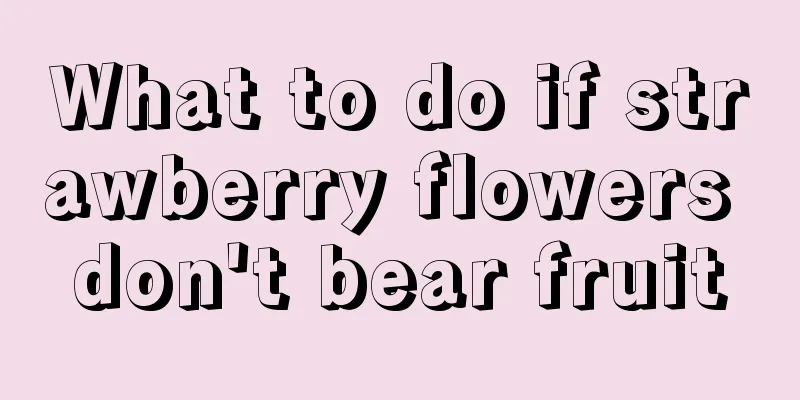 What to do if strawberry flowers don't bear fruit