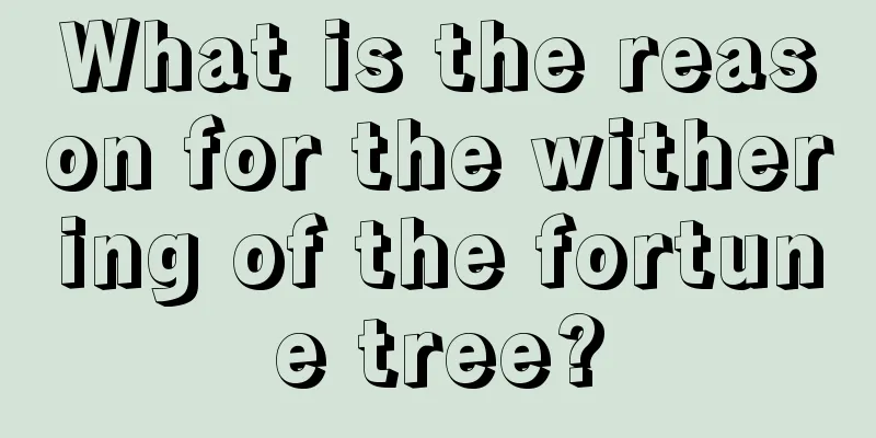 What is the reason for the withering of the fortune tree?