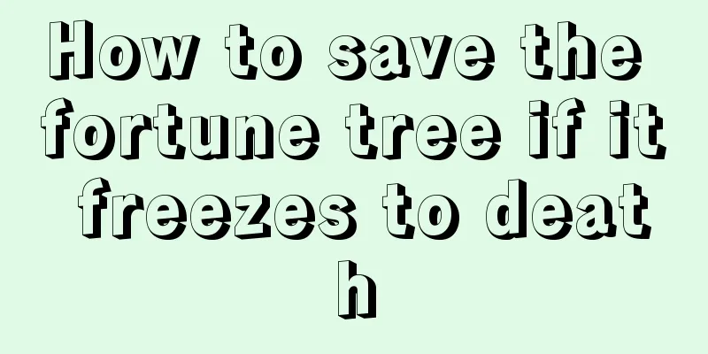 How to save the fortune tree if it freezes to death