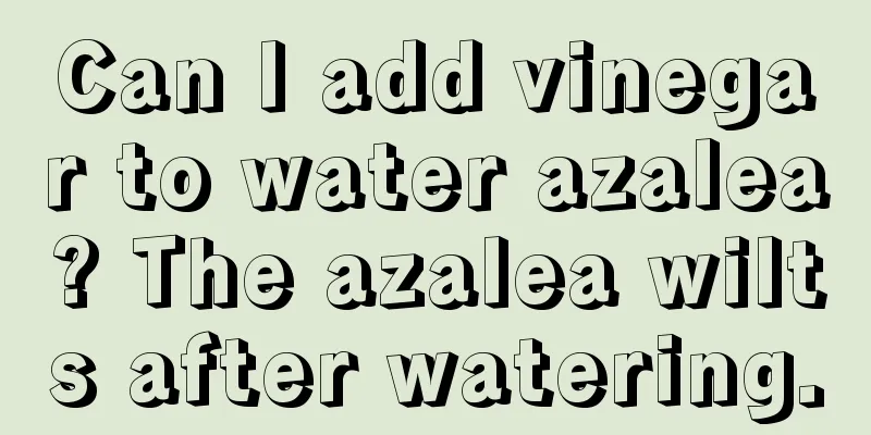 Can I add vinegar to water azalea? The azalea wilts after watering.