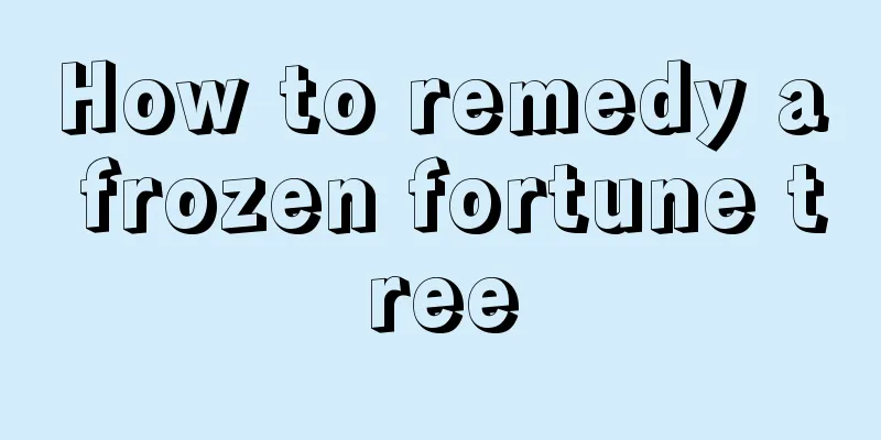 How to remedy a frozen fortune tree