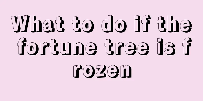 What to do if the fortune tree is frozen