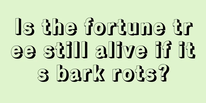 Is the fortune tree still alive if its bark rots?