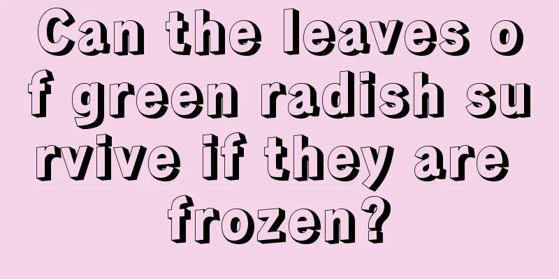 Can the leaves of green radish survive if they are frozen?