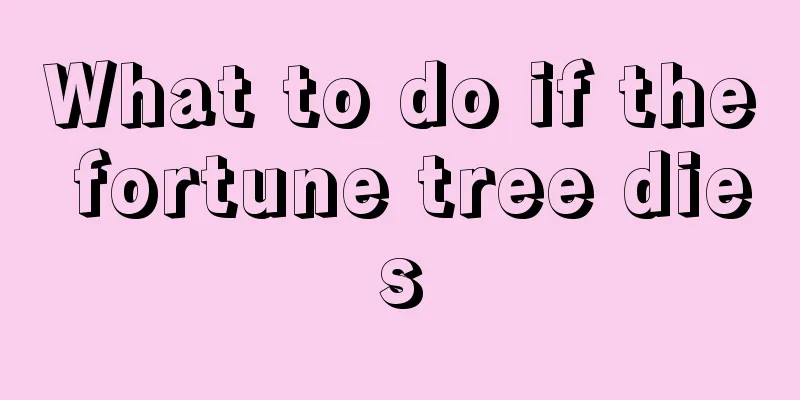 What to do if the fortune tree dies