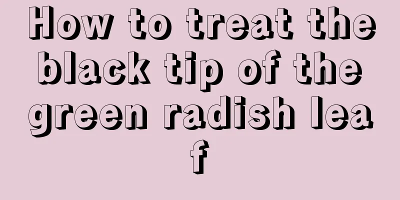 How to treat the black tip of the green radish leaf