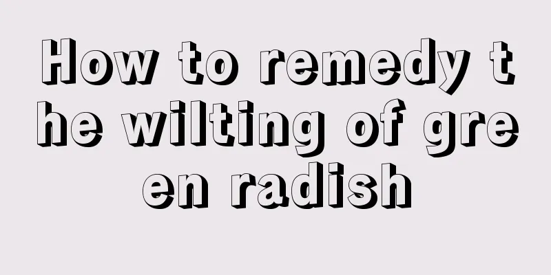 How to remedy the wilting of green radish