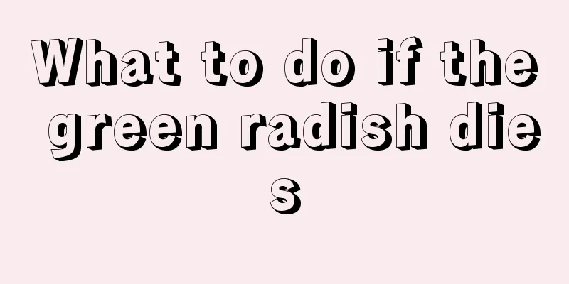 What to do if the green radish dies