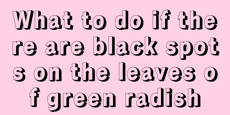 What to do if there are black spots on the leaves of green radish