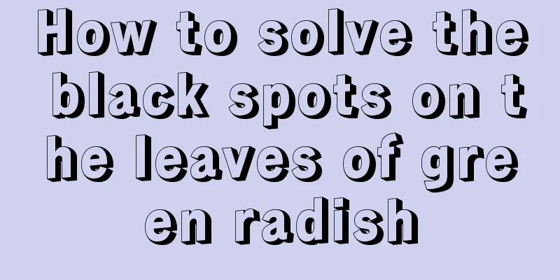 How to solve the black spots on the leaves of green radish