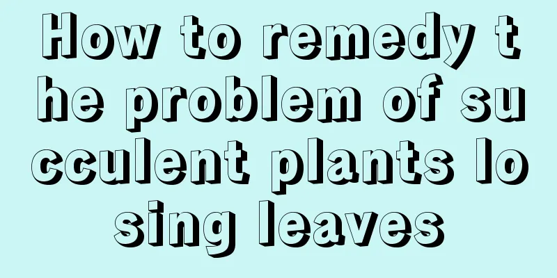 How to remedy the problem of succulent plants losing leaves