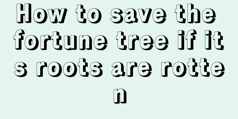 How to save the fortune tree if its roots are rotten