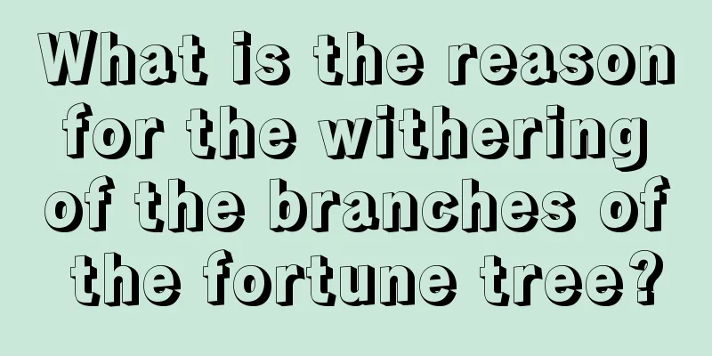 What is the reason for the withering of the branches of the fortune tree?