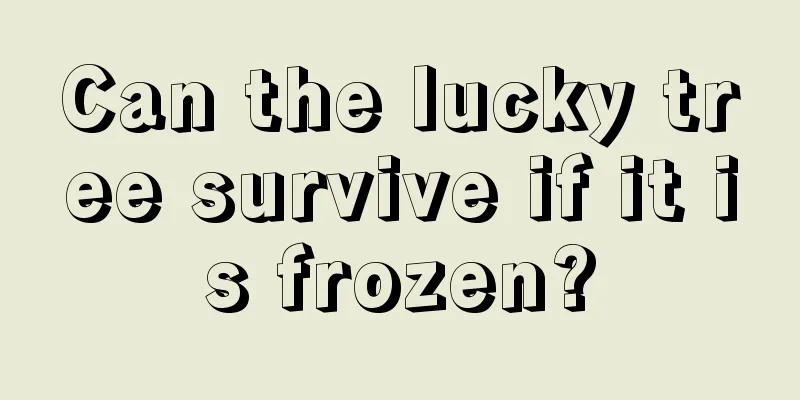 Can the lucky tree survive if it is frozen?