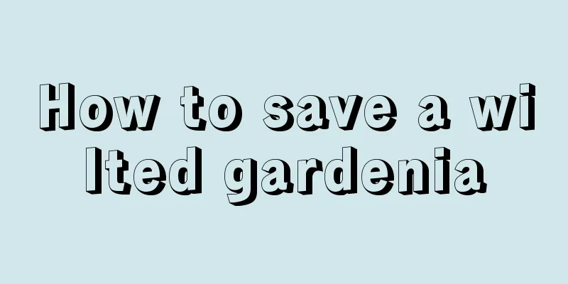 How to save a wilted gardenia